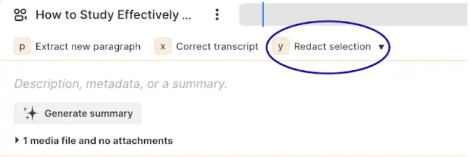 Snapshot highlighting Reduct's 'redact selection' button